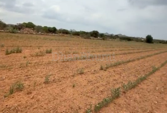 property_images/agricultural_in_jagdalpur_1788588940_6a9bb38cc5680.png