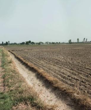 property_images/agricultural_in_jaipur_1782472076_6a3e5d8c0cdcb.jpg
