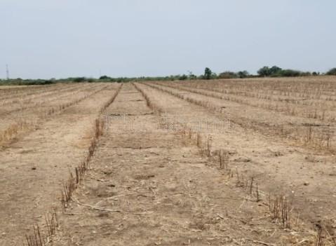 property_images/agricultural_in_jaipur_1782472270_6a3e5e4e4d313.jpg