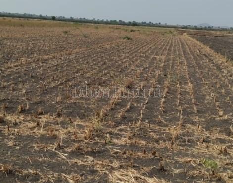 property_images/agricultural_in_jaipur_1782474985_6a3e68e95aef1.jpg