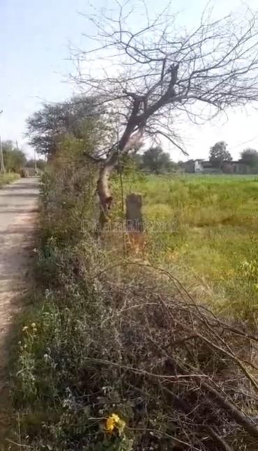 property_images/agricultural_in_jaipur_1782892724_6a44c8b4ab06d.jpg