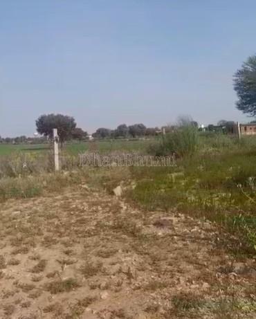 property_images/agricultural_in_jaipur_1782896213_6a44d655835b1.jpg