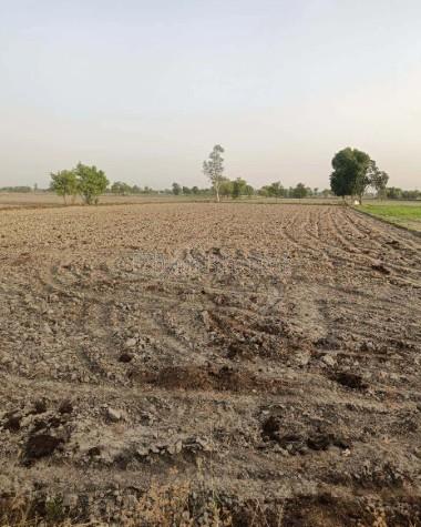 property_images/agricultural_in_jaipur_1782896628_6a44d7f435656.jpg