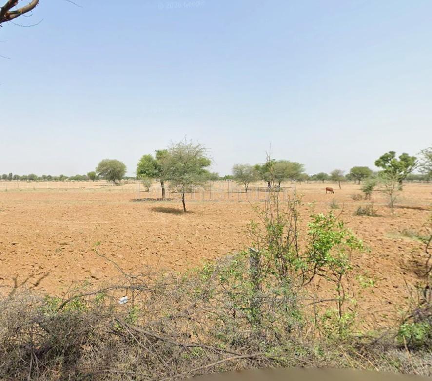 property_images/agricultural_in_jaipur_1782897202_6a44da32ec274.jpg