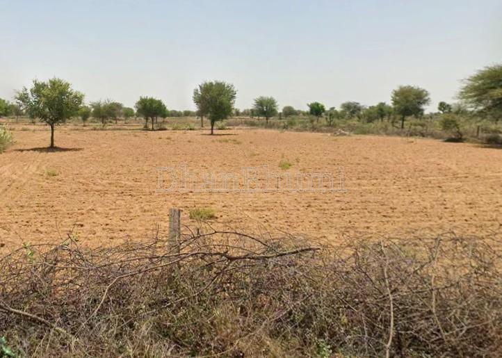 property_images/agricultural_in_jaipur_1782897401_6a44daf90ac7b.jpg