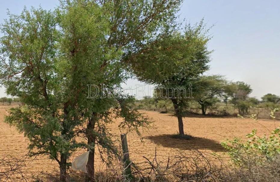 property_images/agricultural_in_jaipur_1782897401_6a44daf910d3a.jpg