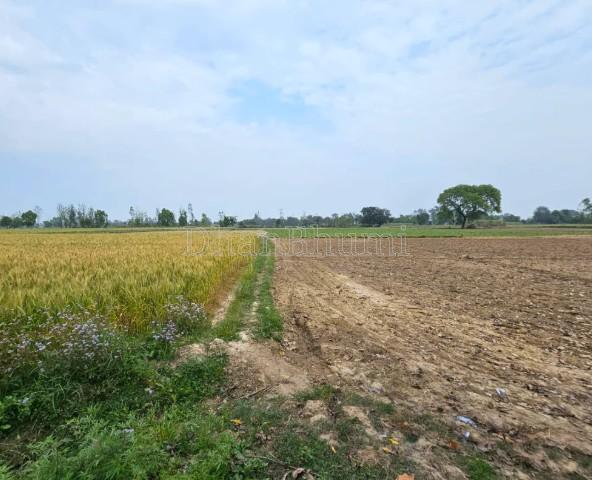 property_images/agricultural_in_jaipur_1782898078_6a44dd9e6e47c.jpg