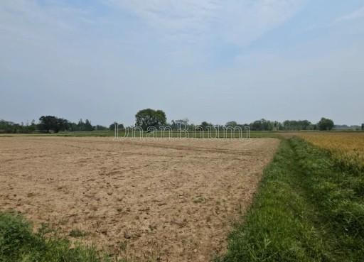 property_images/agricultural_in_jaipur_1782898410_6a44deea08c50.jpg