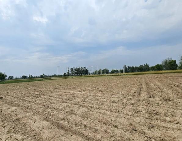 property_images/agricultural_in_jaipur_1782898856_6a44e0a8f1d61.jpg