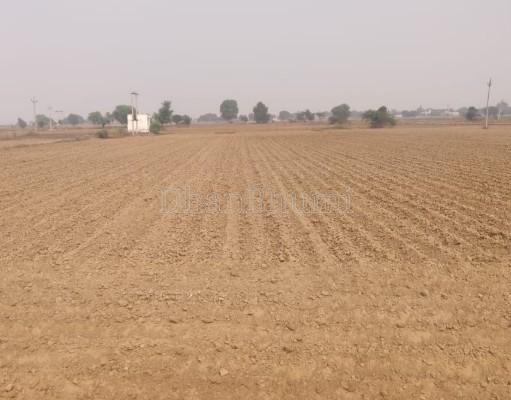 property_images/agricultural_in_jaipur_1782899112_6a44e1a812ea8.jpg