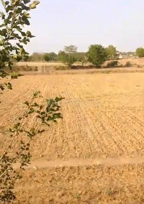property_images/agricultural_in_jaipur_1783076556_6a4796ccc6f94.jpg