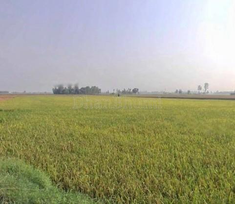 property_images/agricultural_in_jaipur_1783078130_6a479cf21d260.jpg