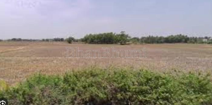 property_images/agricultural_in_jaipur_1784280585_6a59f60969ce3.jpg