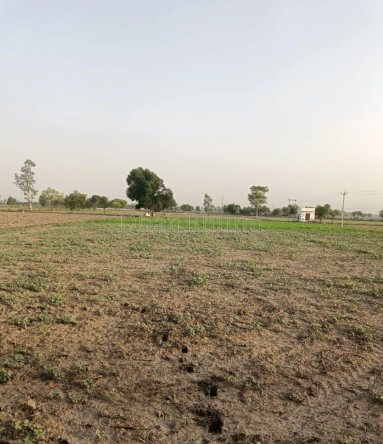 property_images/agricultural_in_jaipur_1786100196_6a75b9e4544a2.png