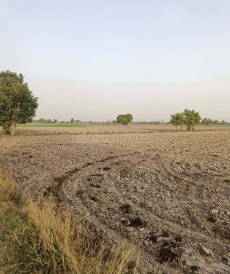 property_images/agricultural_in_jaipur_1786100571_6a75bb5b7916e.png