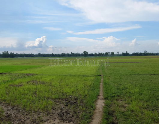 property_images/agricultural_in_jaipur_1786102358_6a75c256387d7.png