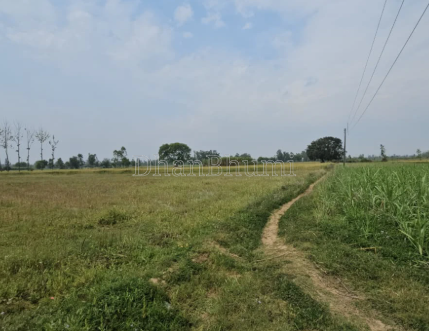 property_images/agricultural_in_jaipur_1786102964_6a75c4b496922.png