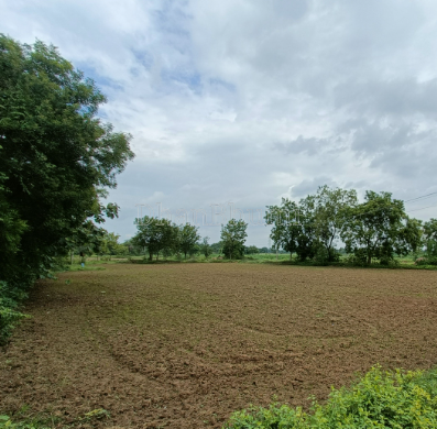 property_images/agricultural_in_jaipur_1786104187_6a75c97b30621.png