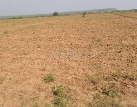 property_images/agricultural_in_jaipur_1786351991_6a799177a4275.png