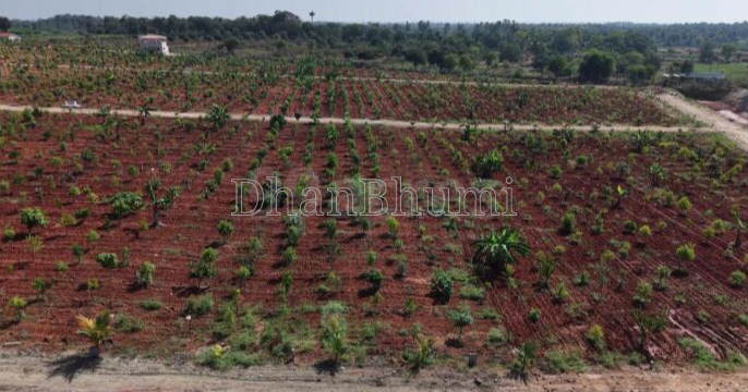 property_images/agricultural_in_jaipur_1786362913_6a79bc21a2eae.png