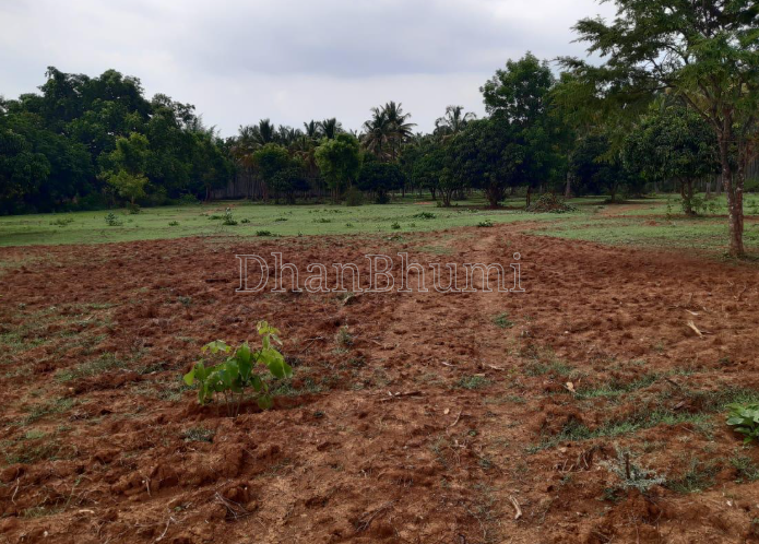 property_images/agricultural_in_jaipur_1786363205_6a79bd45ad3bf.png