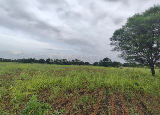 property_images/agricultural_in_jaipur_1786521699_6a7c286379028.PNG