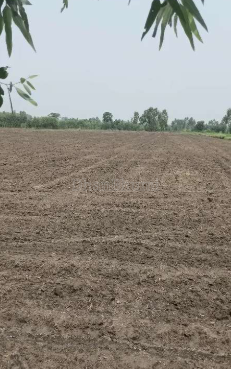 property_images/agricultural_in_jaipur_1786598982_6a7d564602408.png