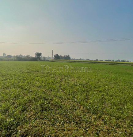 property_images/agricultural_in_jaipur_1786599174_6a7d5706b81c1.png