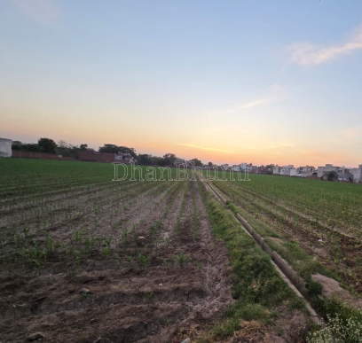 property_images/agricultural_in_jaipur_1786599436_6a7d580cc1740.png