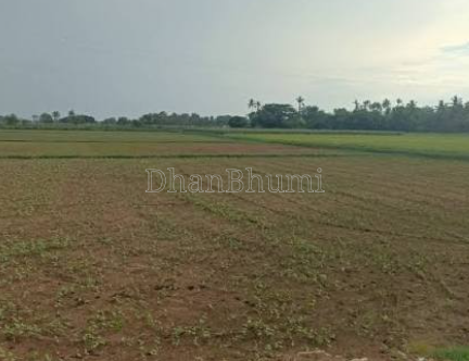 property_images/agricultural_in_jaipur_1786600224_6a7d5b20bf998.png