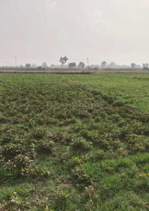 property_images/agricultural_in_jaipur_1786602768_6a7d65101cb42.png