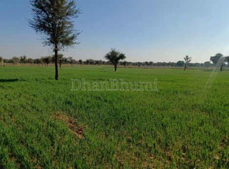 property_images/agricultural_in_jaipur_1786702019_6a7ee8c3a6e7c.png