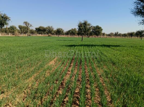 property_images/agricultural_in_jaipur_1786702330_6a7ee9fa01a61.png