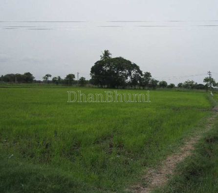 property_images/agricultural_in_jaipur_1786950269_6a82b27d6b2be.png