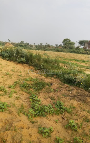 property_images/agricultural_in_jaipur_1786953613_6a82bf8d15457.PNG