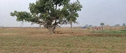 property_images/agricultural_in_jaipur_1787131418_6a85761acb12a.png
