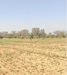 property_images/agricultural_in_jaipur_1787135804_6a85873cddb59.png