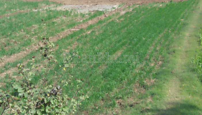 property_images/agricultural_in_jaipur_1787380516_6a89432488ad3.PNG