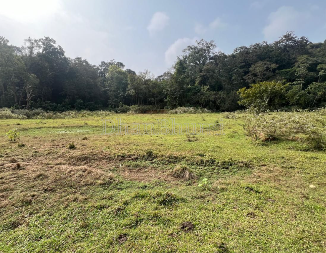 property_images/agricultural_in_jaipur_1788178750_6a95713e57e13.PNG