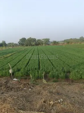 property_images/agricultural_in_jaipur_1788520378_6a9aa7ba432af.PNG