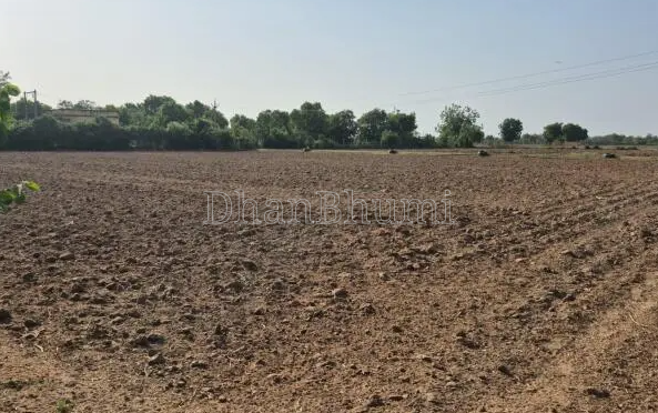 property_images/agricultural_in_jaipur_1788523101_6a9ab25d83ddb.PNG