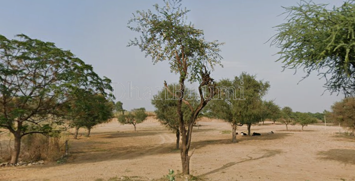 property_images/agricultural_in_jaipur_1788590455_6a9bb977c38a9.png