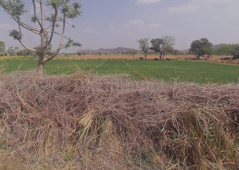 property_images/agricultural_in_jaipur_1788599962_6a9bde9ab7fc3.png