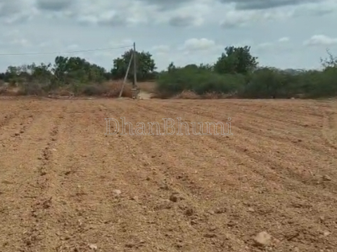 property_images/agricultural_in_jaipur_1788600942_6a9be26e6d595.png