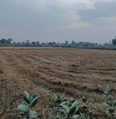 property_images/agricultural_in_jaipur_1789033516_6aa27c2cc7717.png