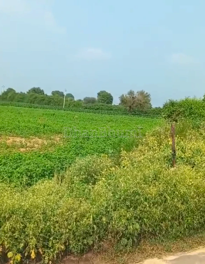 property_images/agricultural_in_jaipur_1789985421_6ab1028d418de.png