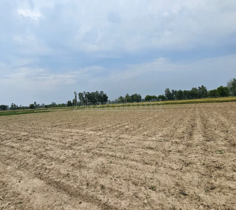 property_images/agricultural_in_jaipur_1789988456_6ab10e68d219d.png