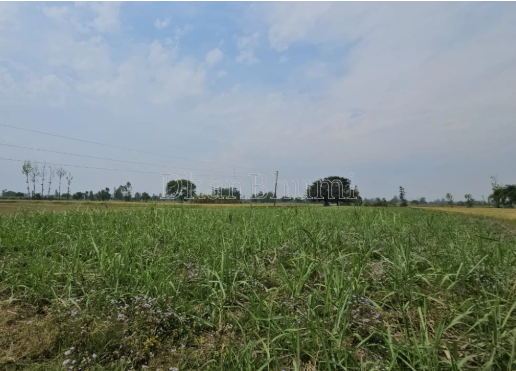 property_images/agricultural_in_jaipur_1790847986_6abe2bf2c0fd3.png