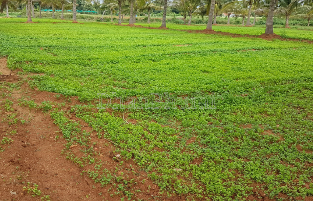 property_images/agricultural_in_jaipur_1791013908_6ac0b41423a21.png