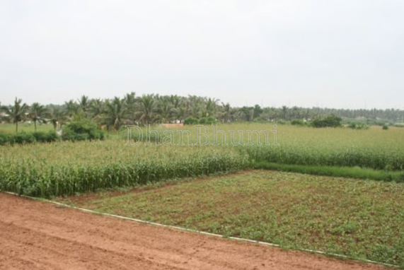property_images/agricultural_in_jaipur_1791014181_6ac0b5250906f.png